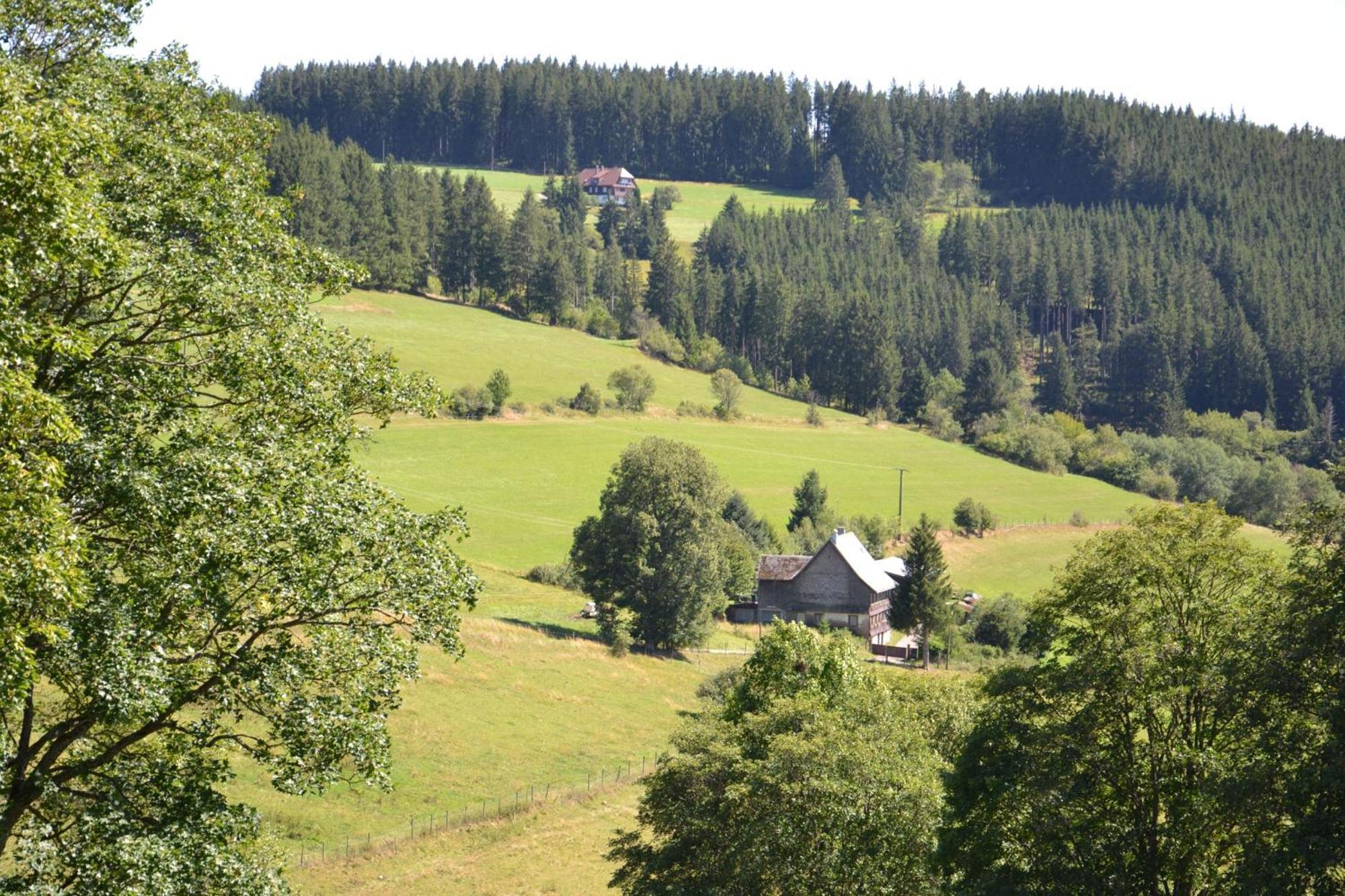 Ferienwohnung Beim Pauli Titisee-Neustadt Eksteriør billede