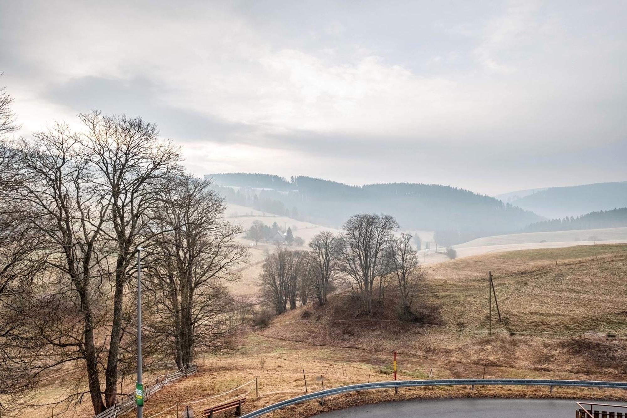 Ferienwohnung Beim Pauli Titisee-Neustadt Eksteriør billede
